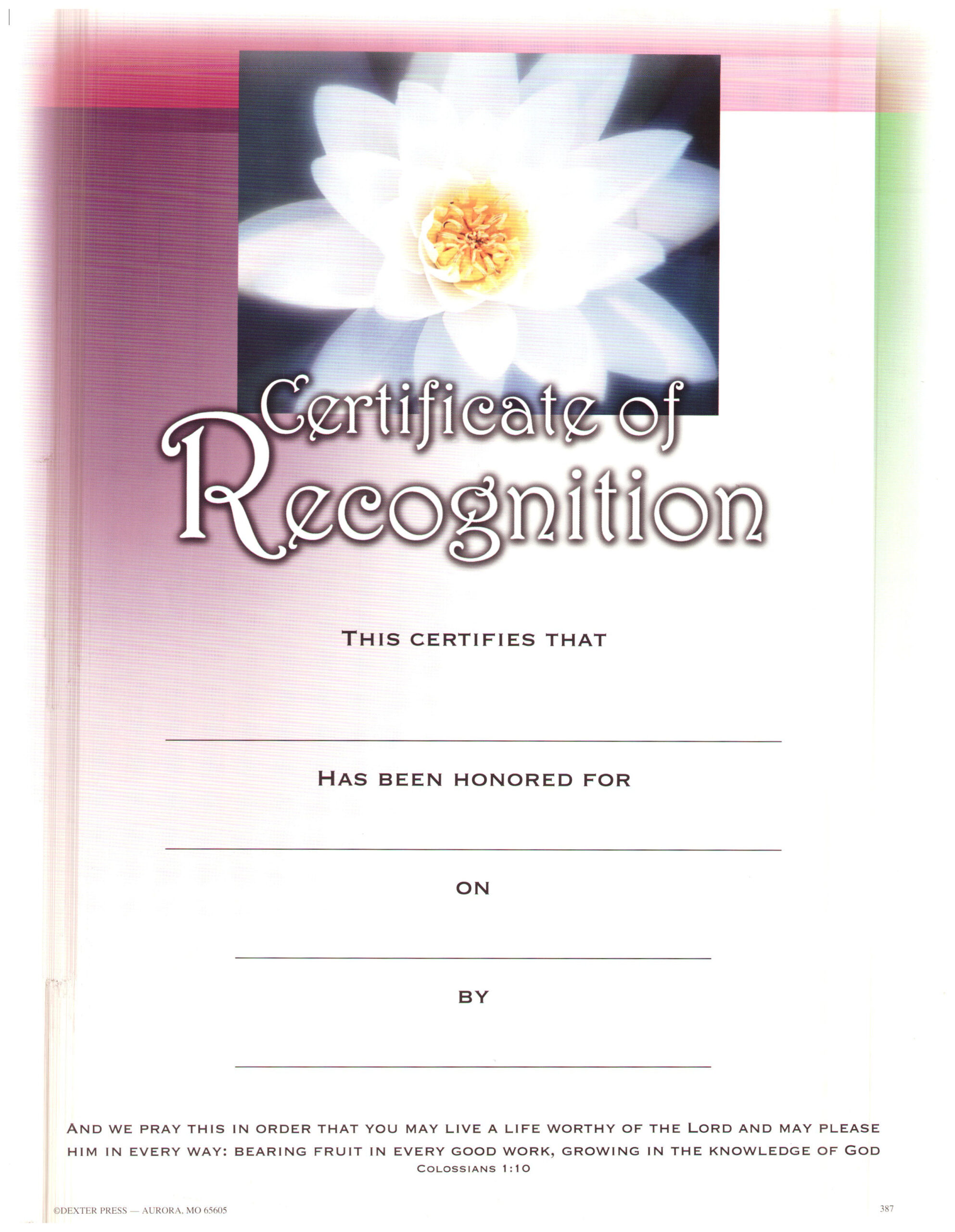 Christian certificate given by minister in sanctuary